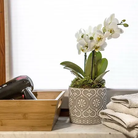 Casa Crimea 아파트